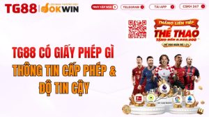TG88 Có Giấy Phép Gì? Thông Tin Cấp Phép & Độ Tin Cậy